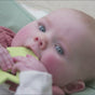 Mountain Tree Natural Teething Toys